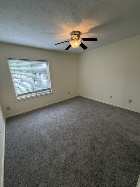 Gallery Photo 8